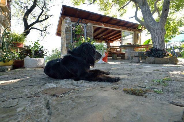 Gasthaus Cozy Istrian House Izola Exterior foto