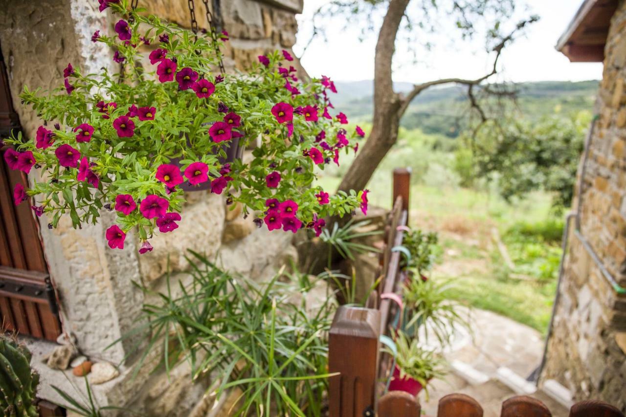 Gasthaus Cozy Istrian House Izola Exterior foto
