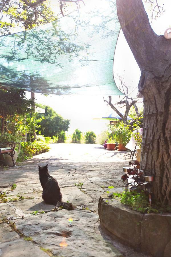 Gasthaus Cozy Istrian House Izola Exterior foto