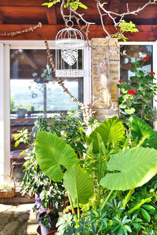 Gasthaus Cozy Istrian House Izola Exterior foto
